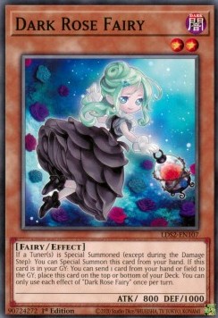 Dark Rose Fairy⁣ - Legendary Duelists: Season 2⁣ (Common)⁣ [107]