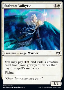 Stalwart Valkyrie⁣ - Kaldheim⁣ (Common)⁣ [31]