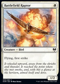 Battlefield Raptor⁣ - Kaldheim⁣ (Common)⁣ [3]