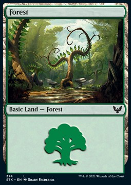 Forest (V.1)⁣ - Strixhaven: School of Mages: Extras⁣ (Land)⁣ [374]