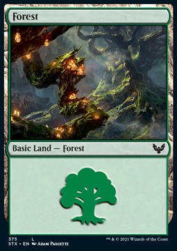 Forest (V.2)⁣ - Strixhaven: School of Mages: Extras⁣ (Land)⁣ [375]