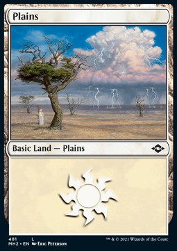 Plains (V.1)⁣ - Modern Horizons 2: Extras⁣ (Land)⁣ [481]
