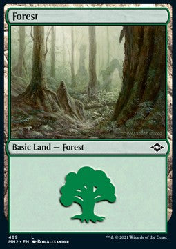 Forest (V.1)⁣ - Modern Horizons 2: Extras⁣ (Land)⁣ [489]