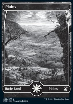 Plains (V.1)⁣ - Innistrad: Midnight Hunt⁣ (Land)⁣ [268]