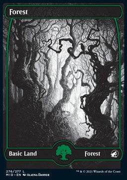 Forest (V.1)⁣ - Innistrad: Midnight Hunt⁣ (Land)⁣ [276]