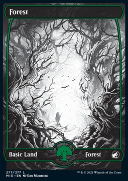 Forest (V.2)⁣ - Innistrad: Midnight Hunt⁣ (Land)⁣ [277]