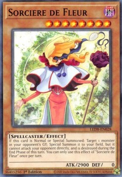 Sorcière de Fleur⁣ - Legendary Duelists: Synchro Storm⁣ (Common)⁣ [028]