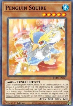 Penguin Squire⁣ - Burst of Destiny⁣ (Common)⁣ [024]