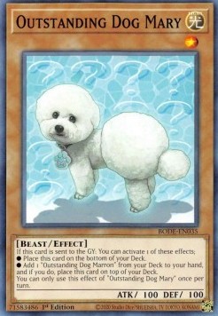 Outstanding Dog Mary⁣ - Burst of Destiny⁣ (Common)⁣ [035]