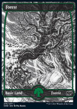 Forest (V.1)⁣ - Innistrad: Crimson Vow⁣ (Land)⁣ [276]