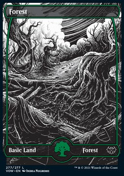 Forest (V.2)⁣ - Innistrad: Crimson Vow⁣ (Land)⁣ [277]