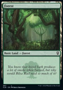 Forest (V.1)⁣ - Commander Legends: Battle for Baldur's Gate: Extras⁣ (Land)⁣ [467]