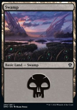 Swamp (V.2)⁣ - Dominaria United⁣ (Land)⁣ [269]