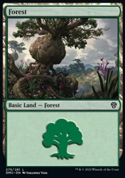 Forest (V.2)⁣ - Dominaria United⁣ (Land)⁣ [275]