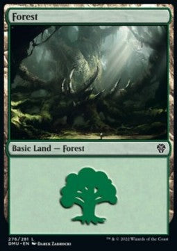 Forest (V.3)⁣ - Dominaria United⁣ (Land)⁣ [276]