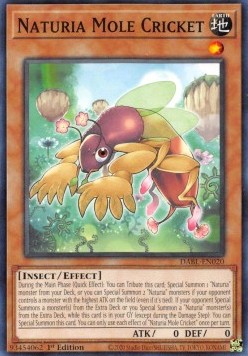 Naturia Mole Cricket⁣ - Darkwing Blast⁣ (Common)⁣ [020]