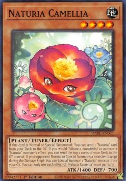 Naturia Camellia⁣ - Darkwing Blast⁣ (Common)⁣ [021]