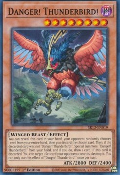 Danger! Thunderbird!⁣ - Structure Deck: Dark World⁣ (Common)⁣ [019]