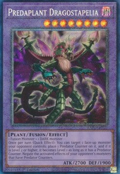 Predaplant Dragostapelia (V.6 - Collectors Rare)⁣ - 25th Anniversary Rarity Collection⁣ (Collectors Rare)⁣ [027]