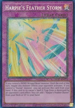 Harpie's Feather Storm (V.6 - Collectors Rare)⁣ - 25th Anniversary Rarity Collection⁣ (Collectors Rare)⁣ [073]