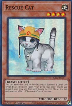 Rescue Cat (V.1 - Super Rare)⁣ - 25th Anniversary Rarity Collection II⁣ (Super Rare)⁣ [001]
