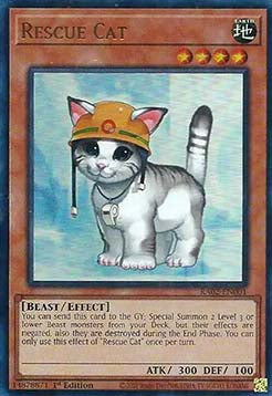 Rescue Cat (V.3 - Ultra Rare)⁣ - 25th Anniversary Rarity Collection II⁣ (Ultra Rare)⁣ [001]