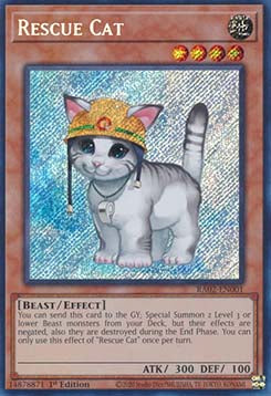 Rescue Cat (V.5 - Secret Rare)⁣ - 25th Anniversary Rarity Collection II⁣ (Secret Rare)⁣ [001]