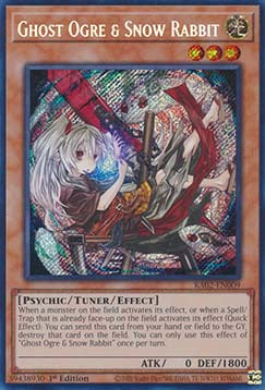 Ghost Ogre & Snow Rabbit (V.3 - Secret Rare)⁣ - 25th Anniversary Rarity Collection II⁣ (Secret Rare)⁣ [009]