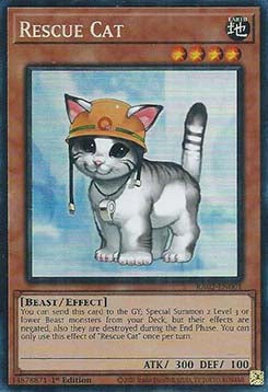 Rescue Cat (V.11 - Collectors Rare)⁣ - 25th Anniversary Rarity Collection II⁣ (Collectors Rare)⁣ [001]
