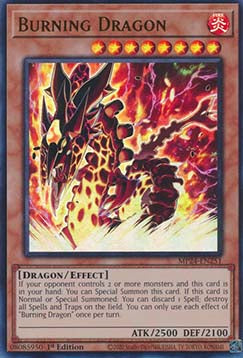 Burning Dragon⁣ - 25th Anniversary Tin: Dueling Mirrors⁣ (Ultra Rare)⁣ [251]