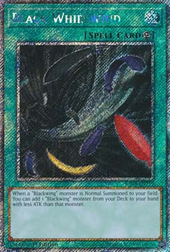 Black Whirlwind (V.1 - Platinum Secret Rare)⁣ - Quarter Century Bonanza⁣ (Platinum Secret Rare)⁣ [219]