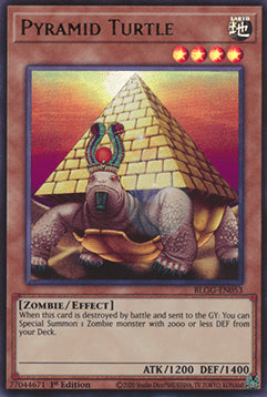 Pyramid Turtle